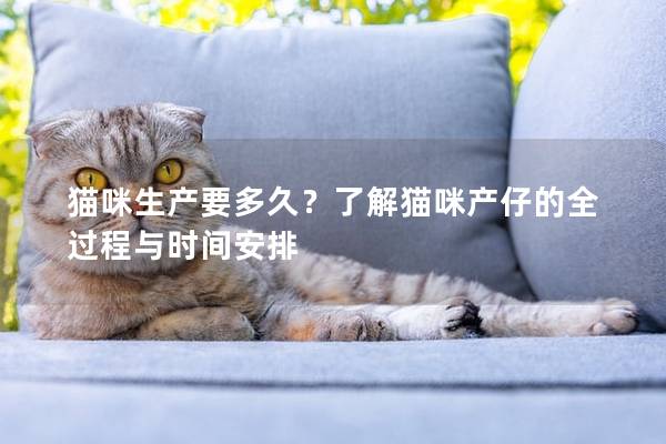 貓咪生產要多久？了解貓咪產仔的全過程與時間安排